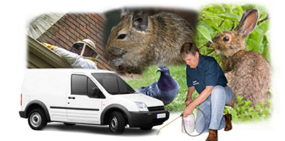 Heckmondwike local van